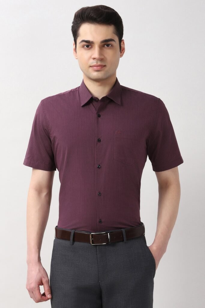 Peter England Wine Textured Formal Half Sleeves Shirt Collar Men Regular Fit Formal Shirt