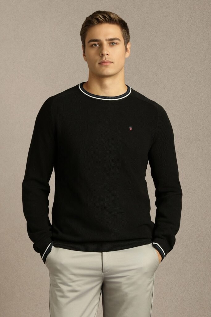 Louis Philippe Black Textured Casual Full Sleeves Round Neck Men Regular Fit Sweater