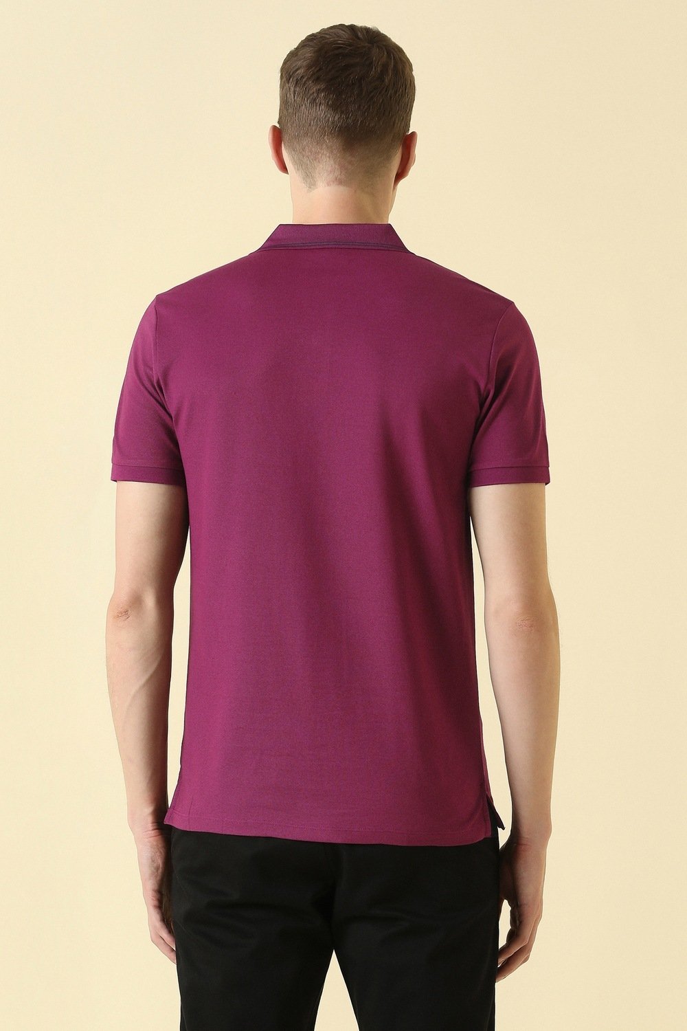 Allen Solly Wine Textured Casual Half Sleeves Polo Collar Men Regular Fit T-Shirt