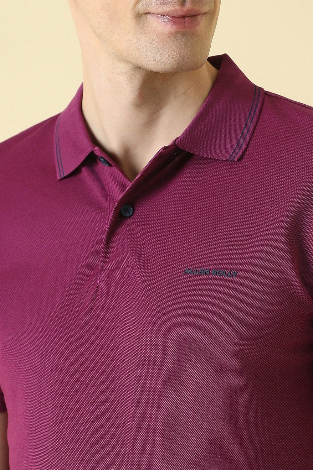 Allen Solly Wine Textured Casual Half Sleeves Polo Collar Men Regular Fit T-Shirt